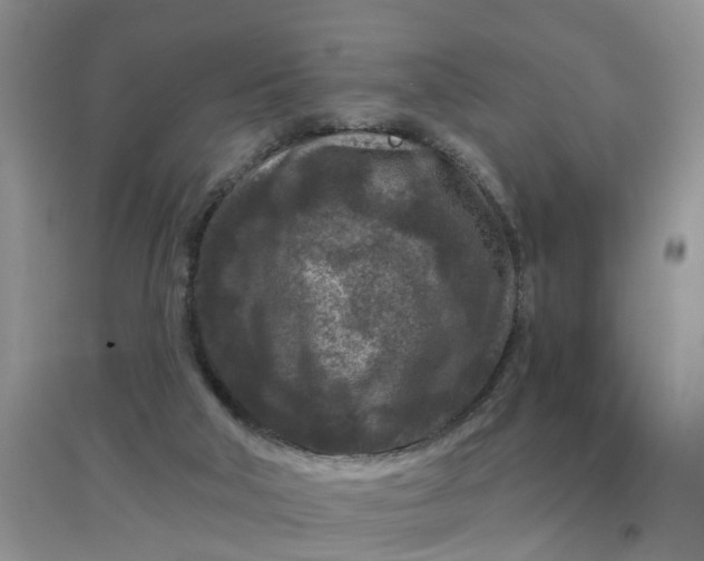 X0000097650018200803142120