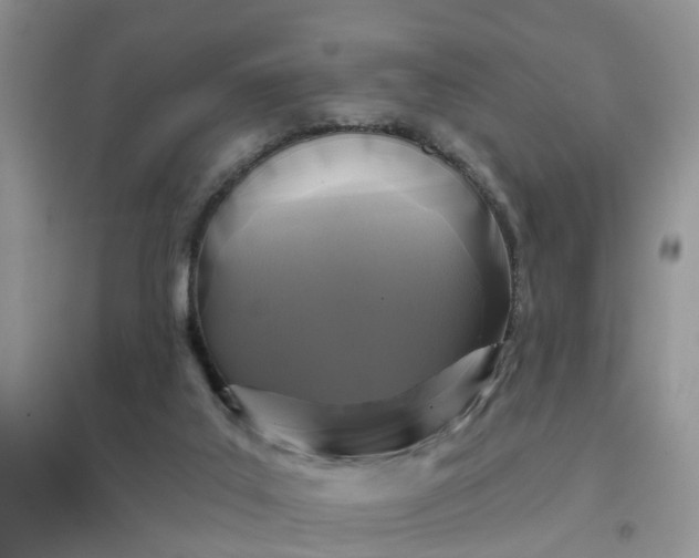 X0000097650019200803142120