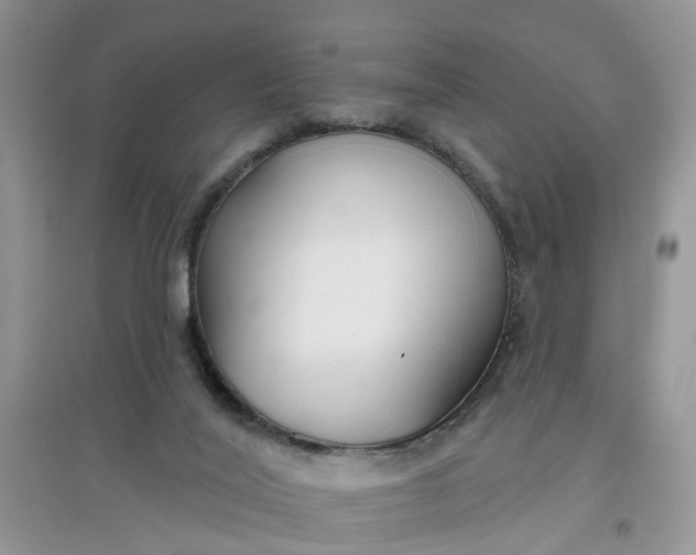 X0000097650020200803142120