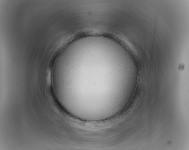 X0000097650022200803142120