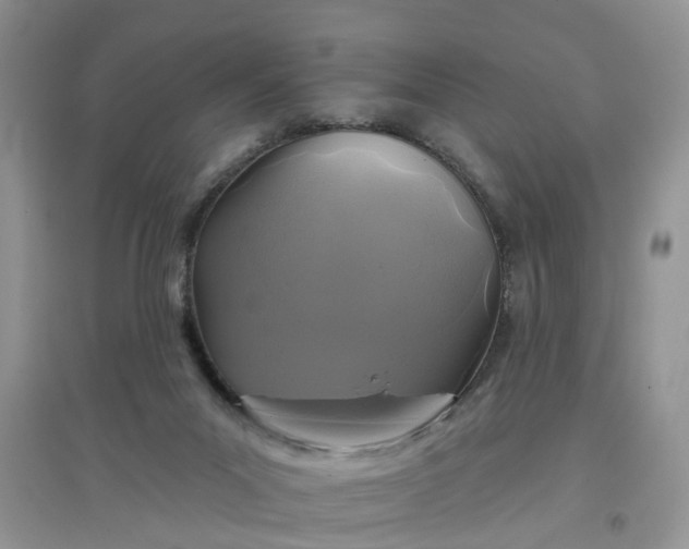 X0000097650023200803142119