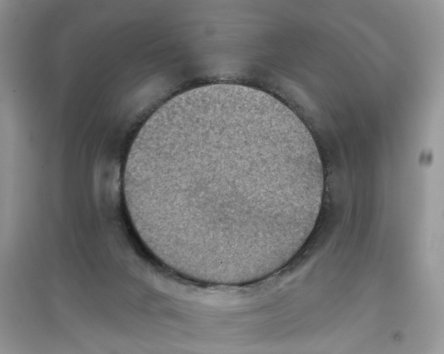 X0000097650024200803142119