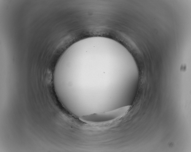 X0000097650025200803142119