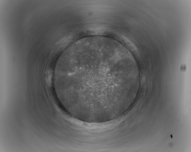 X0000097650026200803142119