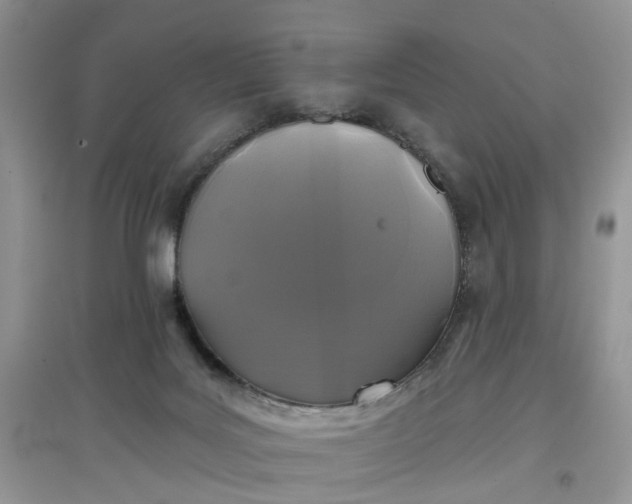 X0000097650027200803142119