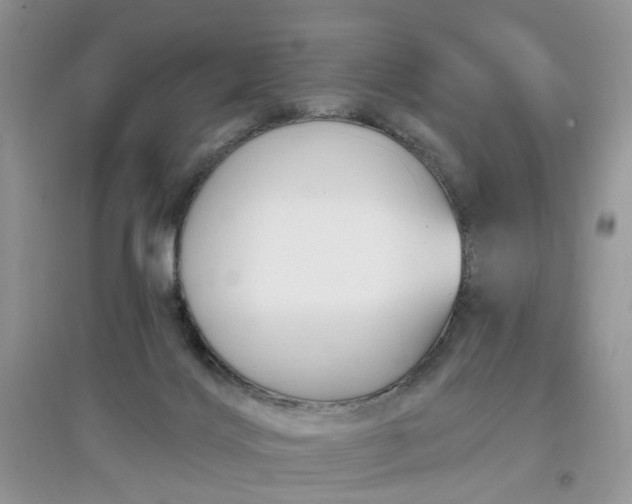 X0000097650028200803142119