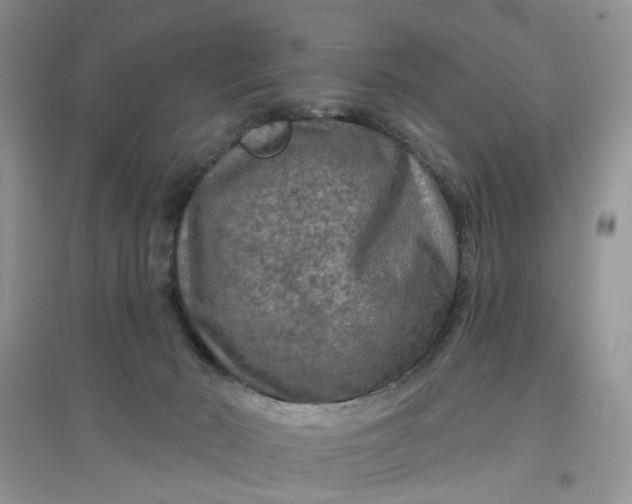 X0000097650030200803142119