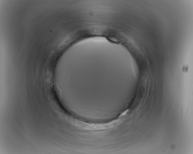 X0000097650031200803142119