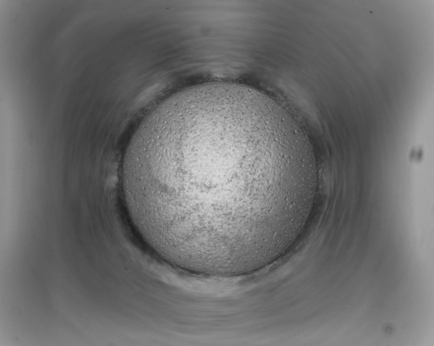 X0000097650032200803142119