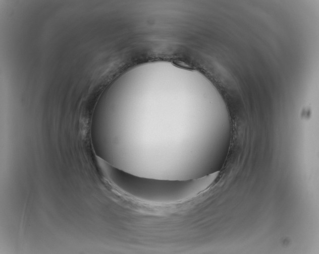 X0000097650033200803142119