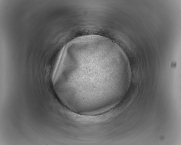 X0000097650034200803142119