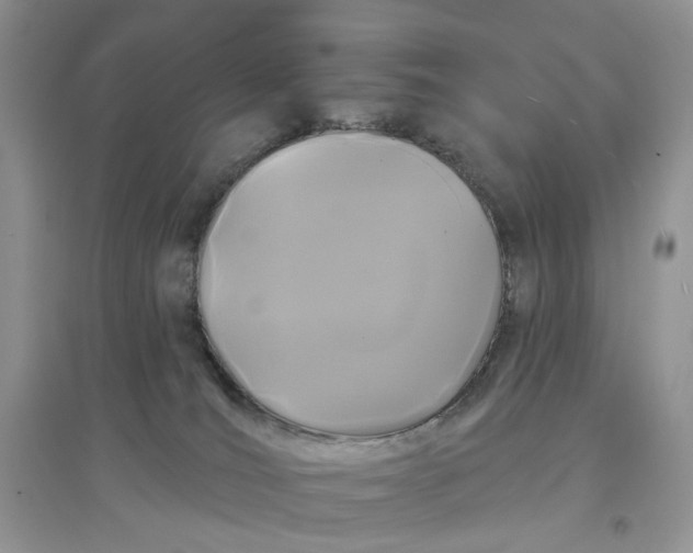 X0000097650036200803142119