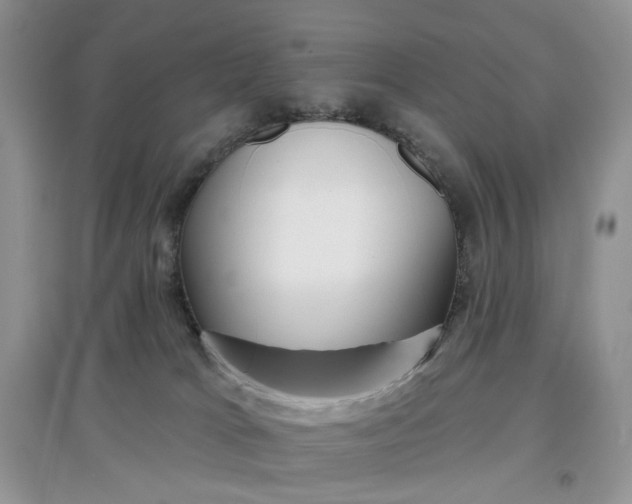 X0000097650037200803142119