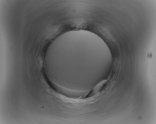 X0000097650039200803142119