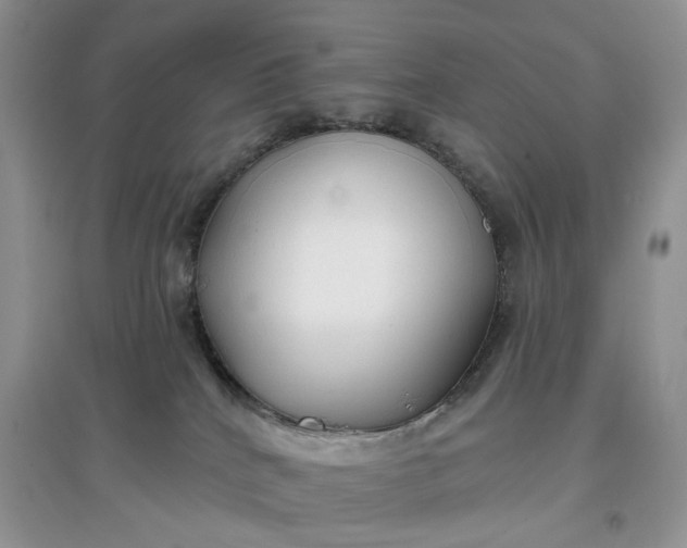 X0000097650040200803142119