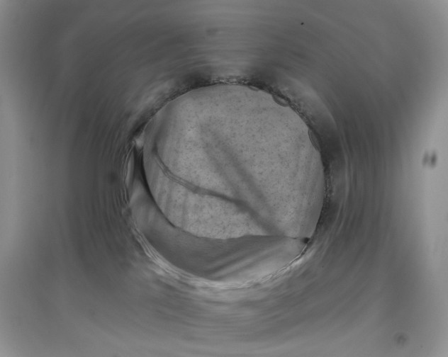 X0000097650041200803142119