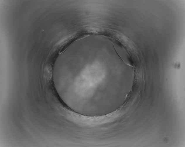 X0000097650043200803142119