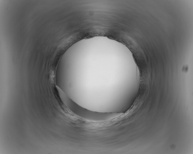 X0000097650045200803142119