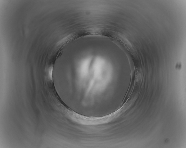 X0000097650047200803142119