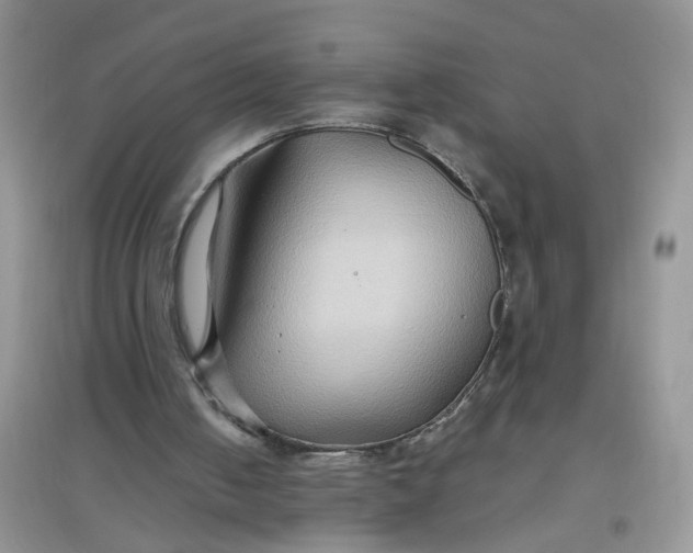 X0000097650050200803142119