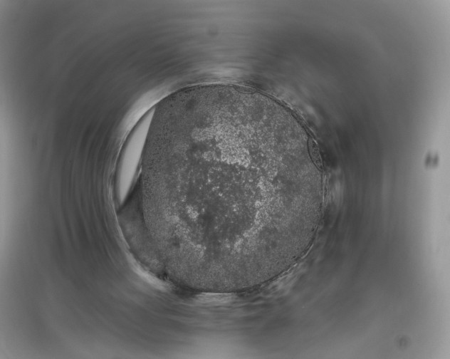 X0000097650051200803142119