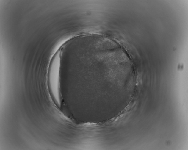 X0000097650052200803142119