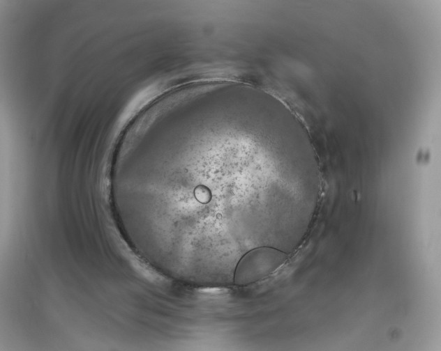 X0000097650053200803142119