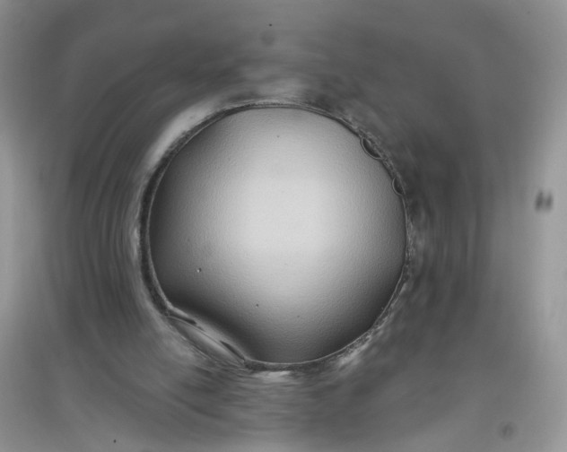 X0000097650054200803142119