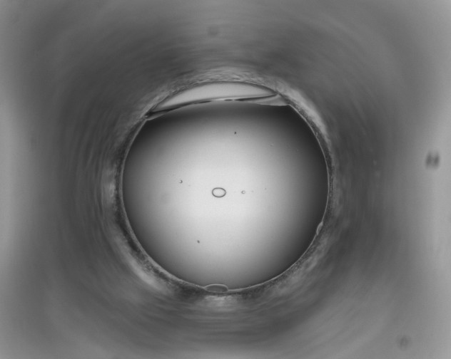 X0000097650057200803142119