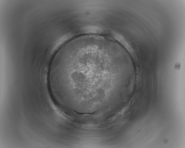 X0000097650058200803142119