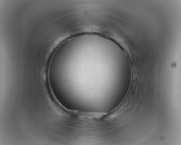 X0000097650060200803142119