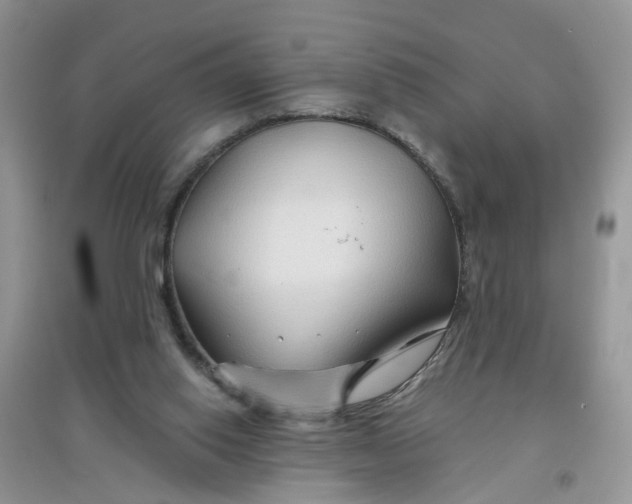 X0000097650062200803142119