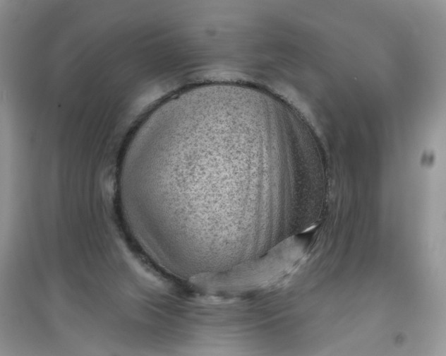 X0000097650063200803142119