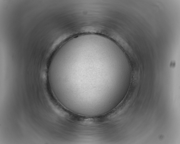 X0000097650064200803142119