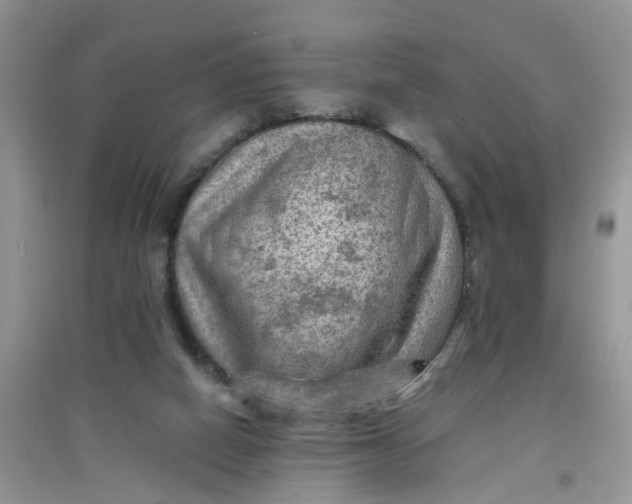 X0000097650066200803142119