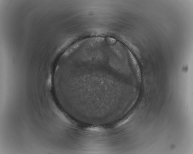 X0000097650067200803142119