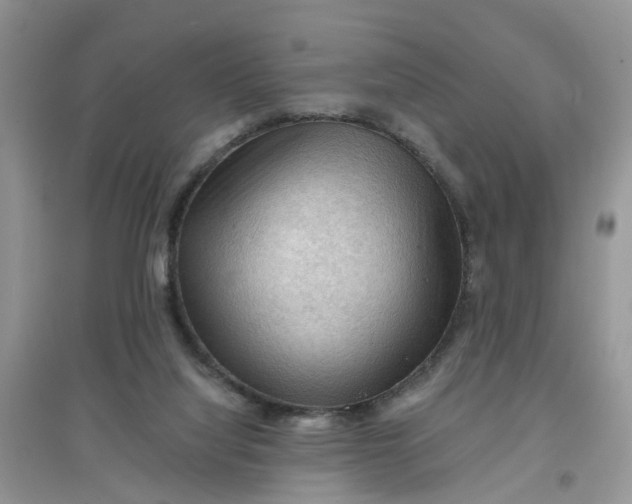 X0000097650068200803142119