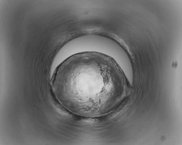 X0000097650069200803142119