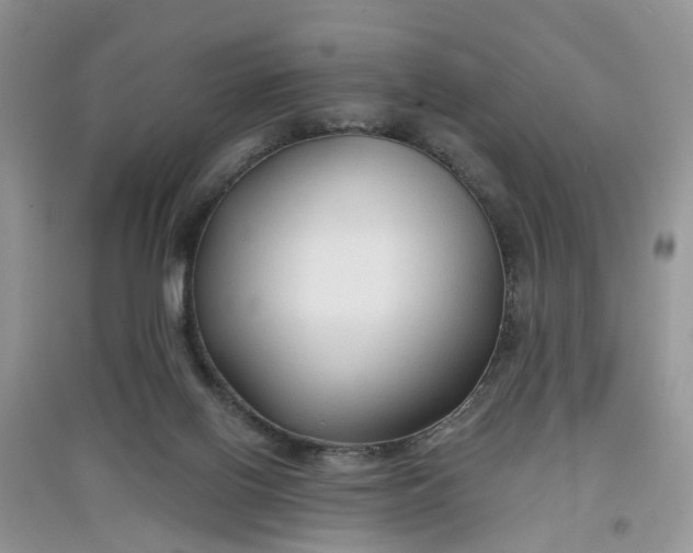 X0000097650070200803142119