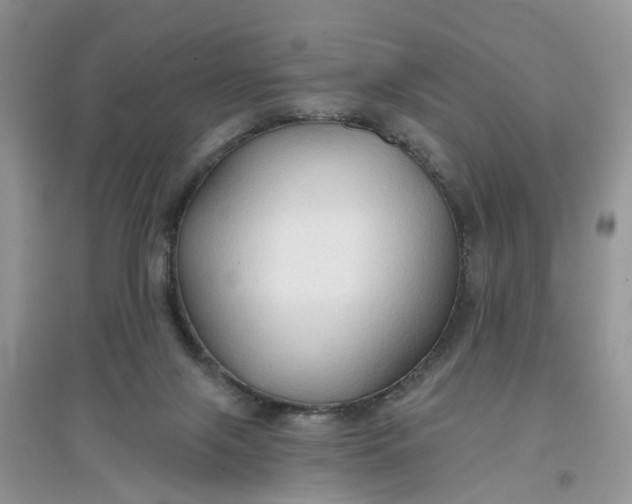 X0000097650071200803142119