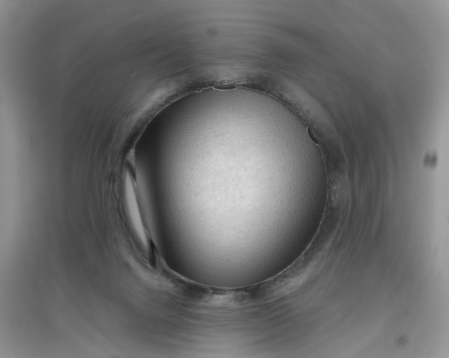 X0000097650072200803142119