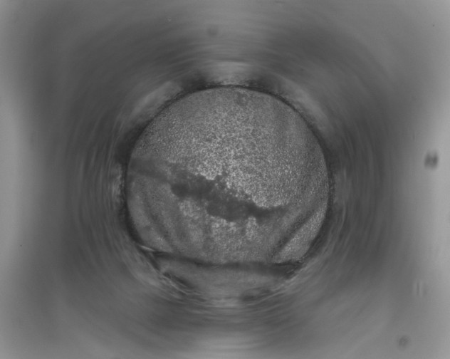 X0000097650073200803142119