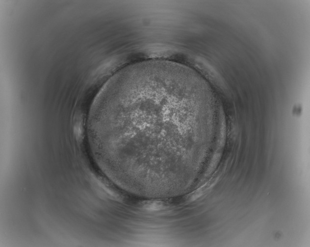 X0000097650074200803142119