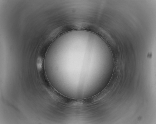 X0000097650075200803142119