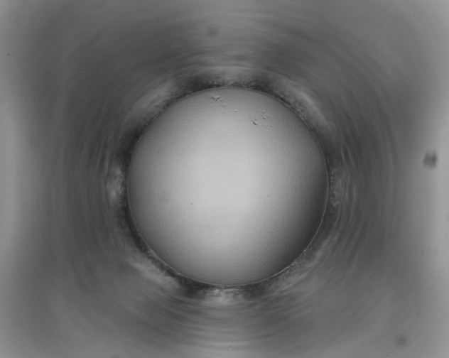 X0000097650077200803142119