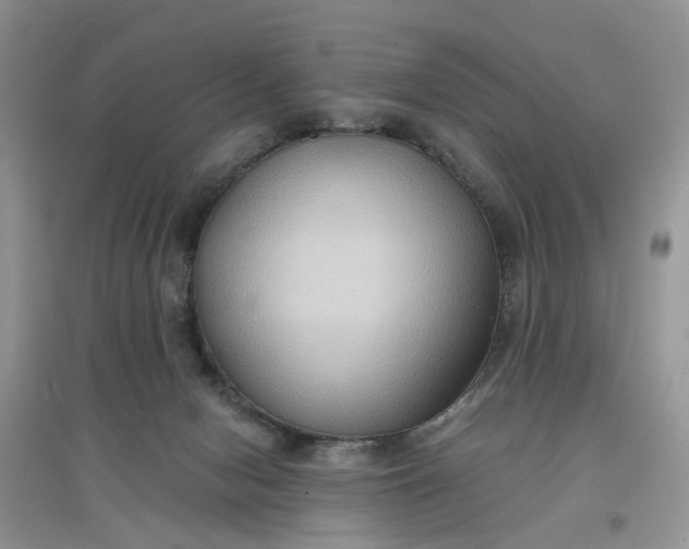 X0000097650078200803142119