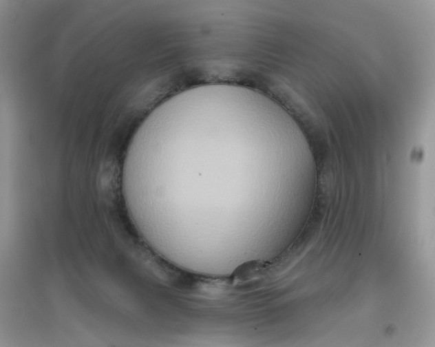 X0000097650079200803142119