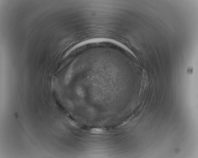 X0000097650080200803142119