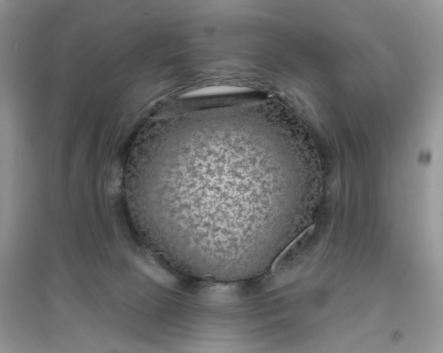 X0000097650081200803142119