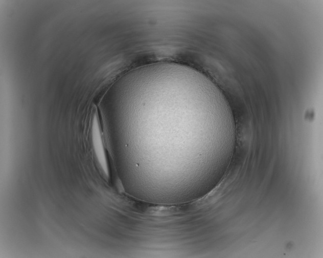 X0000097650082200803142119